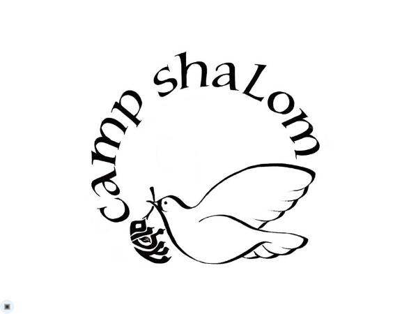 This is a logo for a children’s summer camp. The lettering and illustration were made with one pen, and this helps to hold the 3 disparate parts of the logo together.