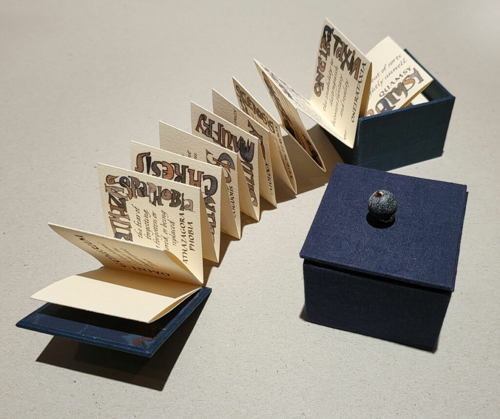 A view of the book mostly unfolded, together with another book completely closed in the box.